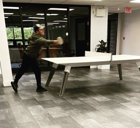 S305 Tischtennistisch